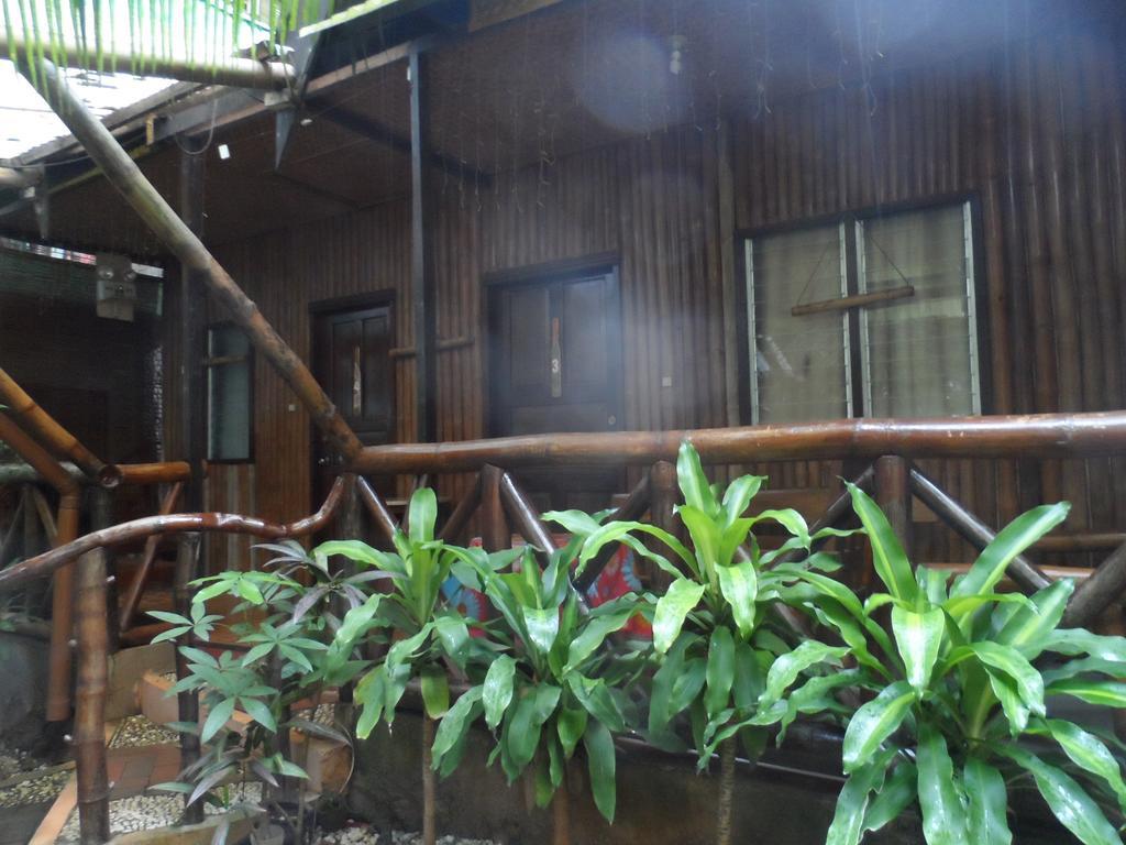 Victoria Guest House And Cottages Puerto Princesa Ngoại thất bức ảnh