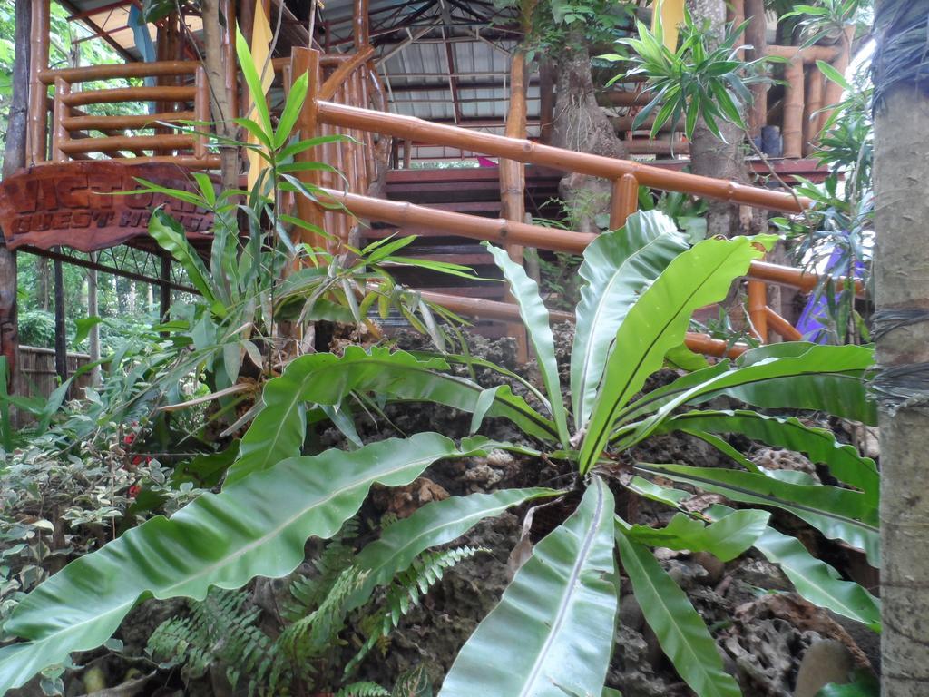 Victoria Guest House And Cottages Puerto Princesa Ngoại thất bức ảnh