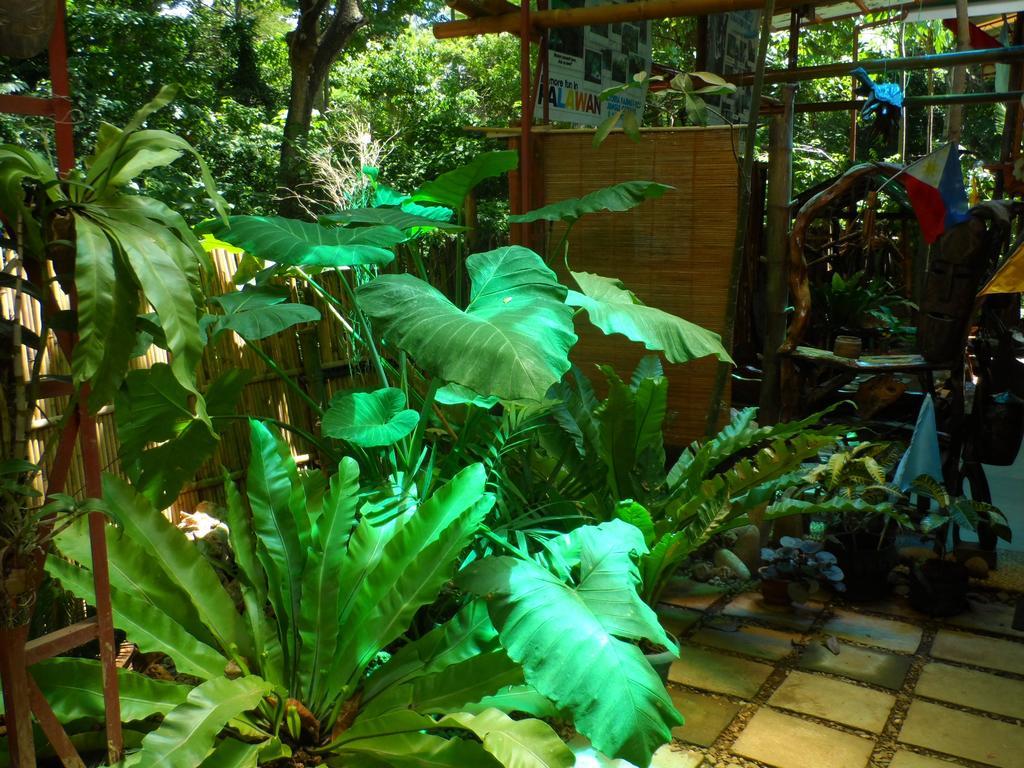 Victoria Guest House And Cottages Puerto Princesa Ngoại thất bức ảnh